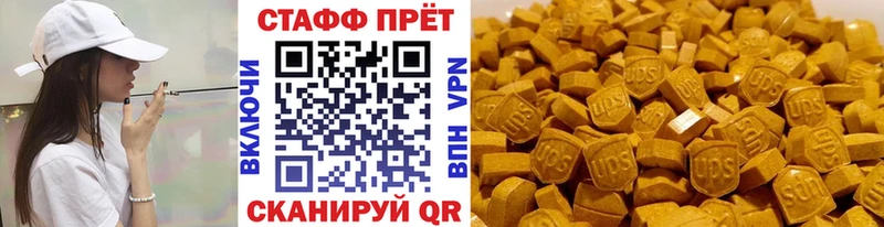 МЕФ Медынь