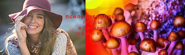 ГАЛЛЮЦИНОГЕННЫЕ ГРИБЫ Каменногорск
