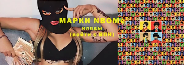 дмт Инсар