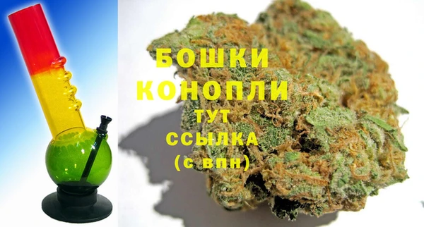 дмт Инсар