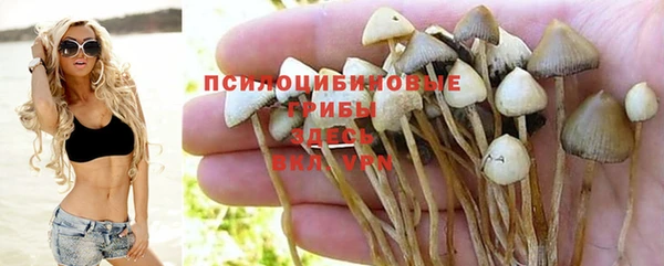 метамфетамин Каменка